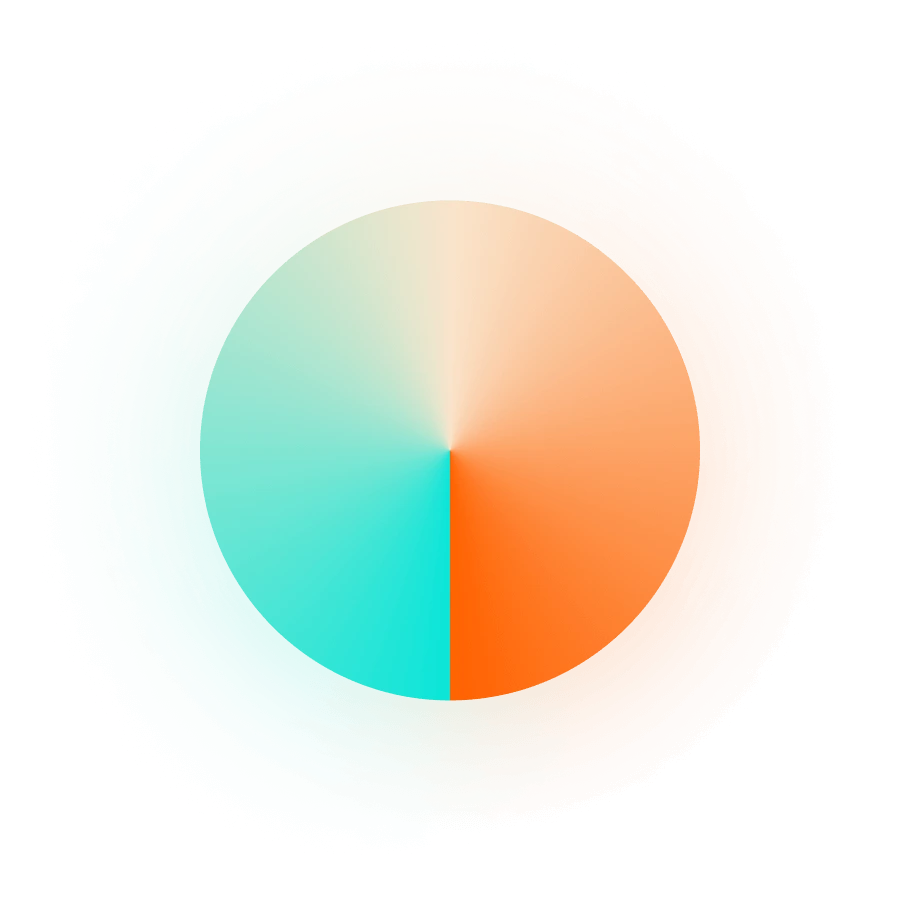 Orbizen Software Solutions Background